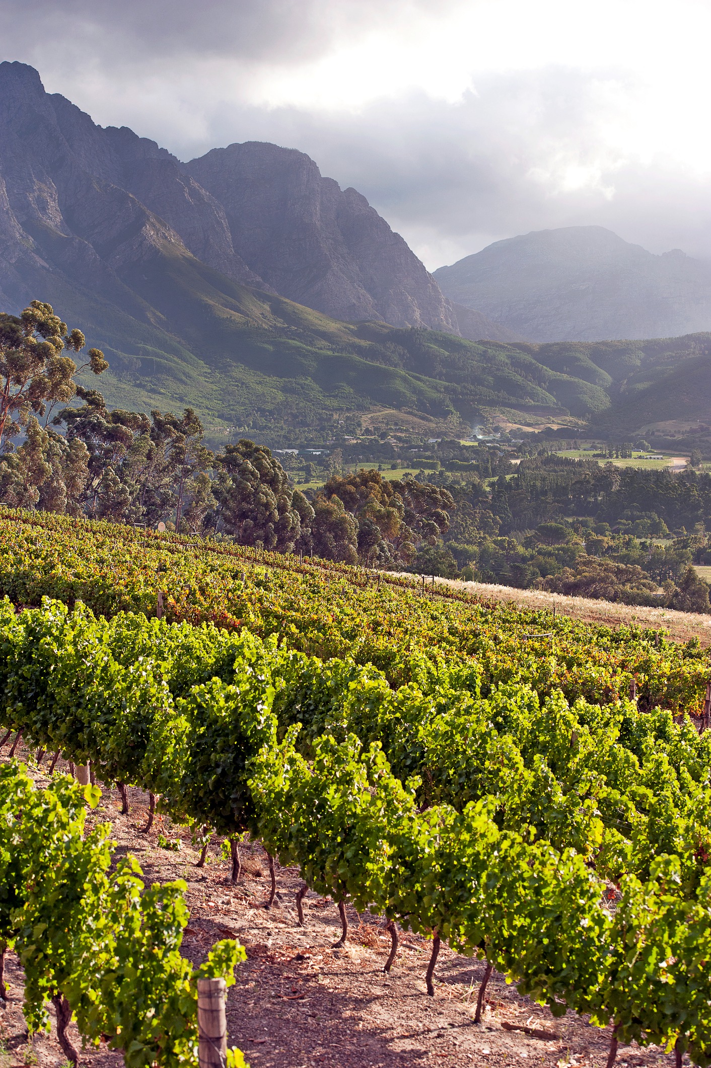 Jornadas enogastronômicas pelo mundo